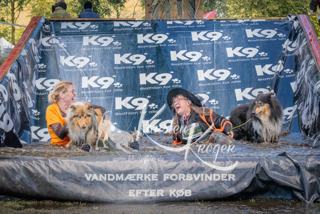 1557_ZZ91560 | kk-dogfotos