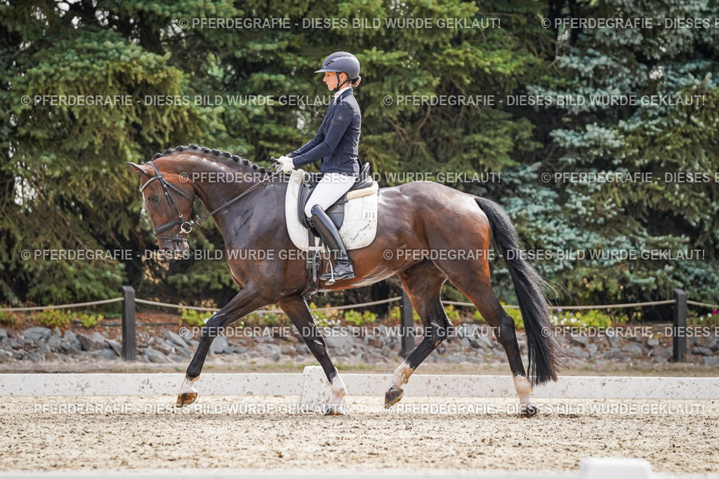 DSC07673 | Pferdegrafie