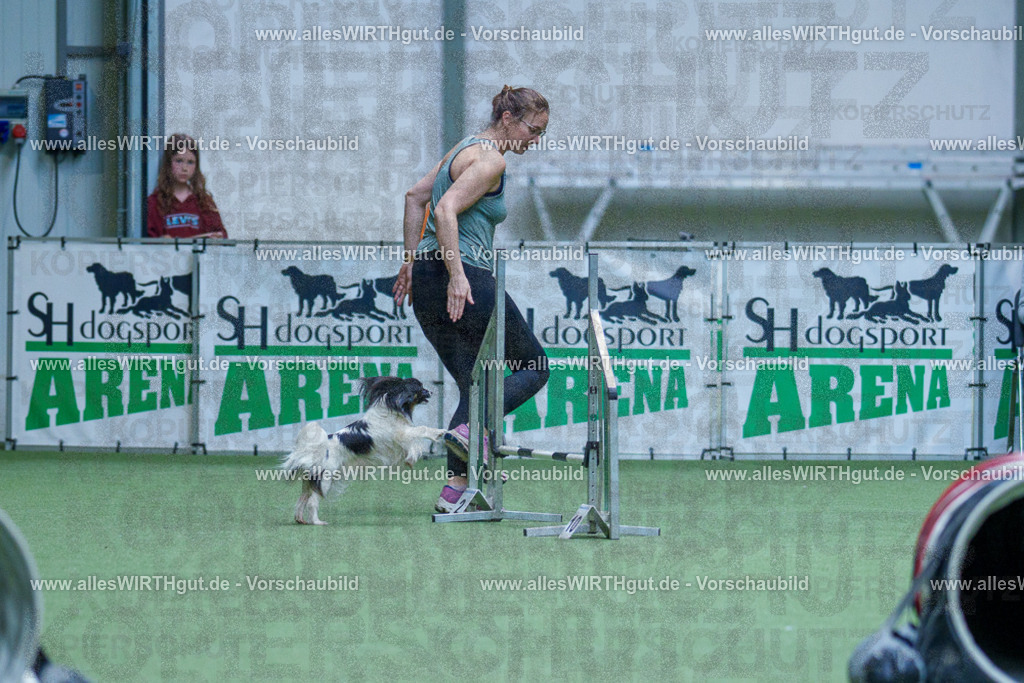 @allesWIRTHgut_Tierfotografie - www.allesWIRTHgut.de - 2604251448-7R505584 | Professionelle Tierfotografie in Mönchengladbach von Daniel Wirth (allesWIRTHgut). Liebevolle & natürliche Bilder von Hunden & Katzen für unvergessliche Erinnerungen.