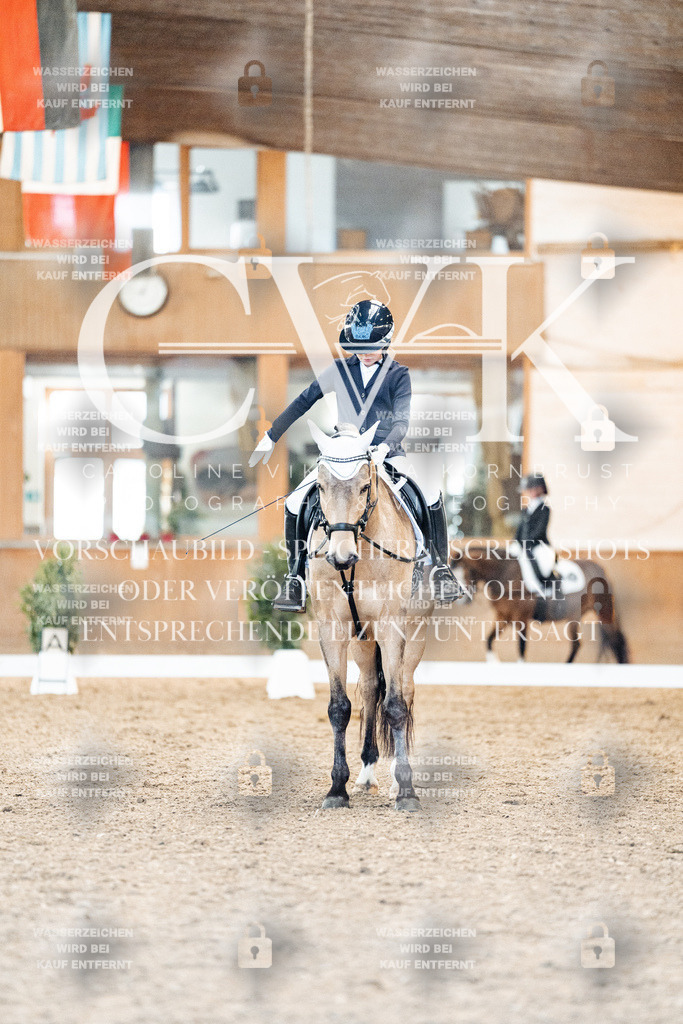 CK907348 | Turnierfotografie Pferdefotografie Trier Rheinland-Pfalz Pferdesport Reitsport Tierfotografie Sportfotografie Pferdevideo Pferdevideografie Equestrianvideography equestrianphotography  - Realisiert mit Pictrs.com