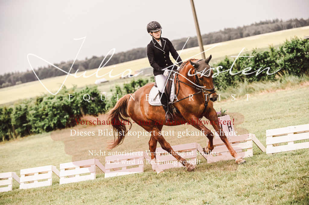 DSC_4857 | Pferde- und Turnierfotografie in Westsachsen. Pferdeportraits, Auftragszeichnungen und intuitive Kunst.
