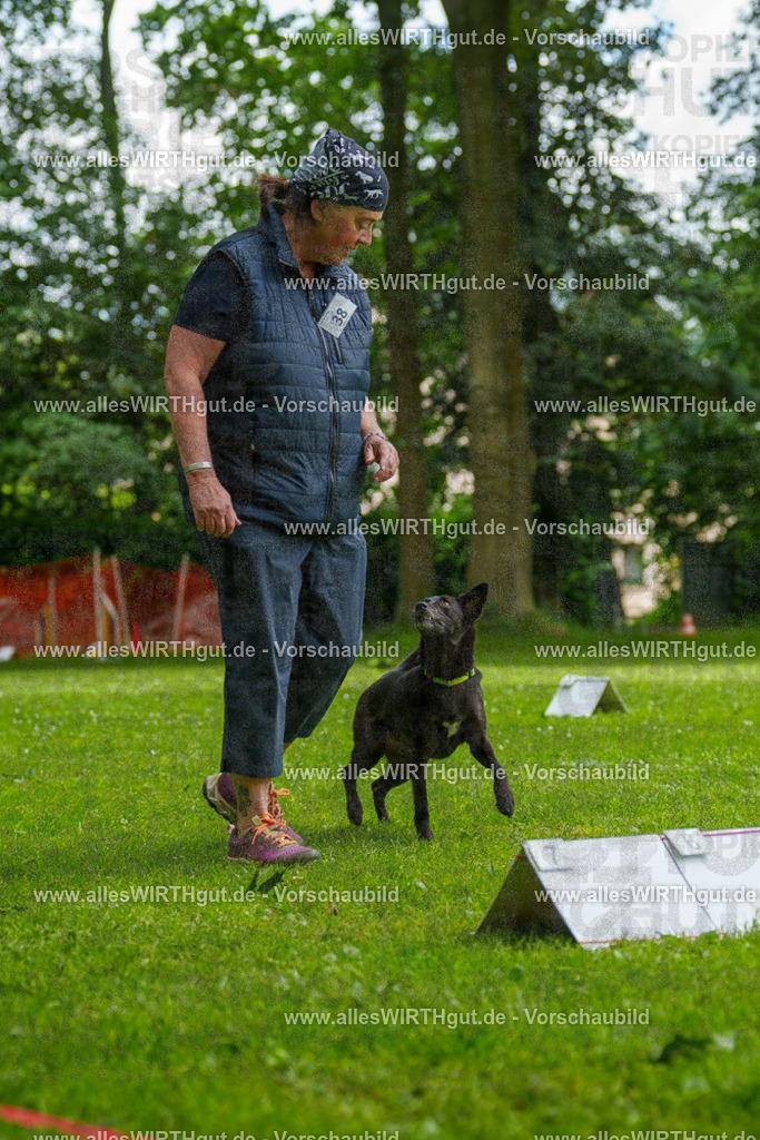 @allesWIRTHgut_Tierfotografie - www.allesWIRTHgut.de - 124352-7R509378 | Professionelle Tierfotografie in Mönchengladbach von Daniel Wirth (allesWIRTHgut). Liebevolle & natürliche Bilder von Hunden & Katzen für unvergessliche Erinnerungen.
