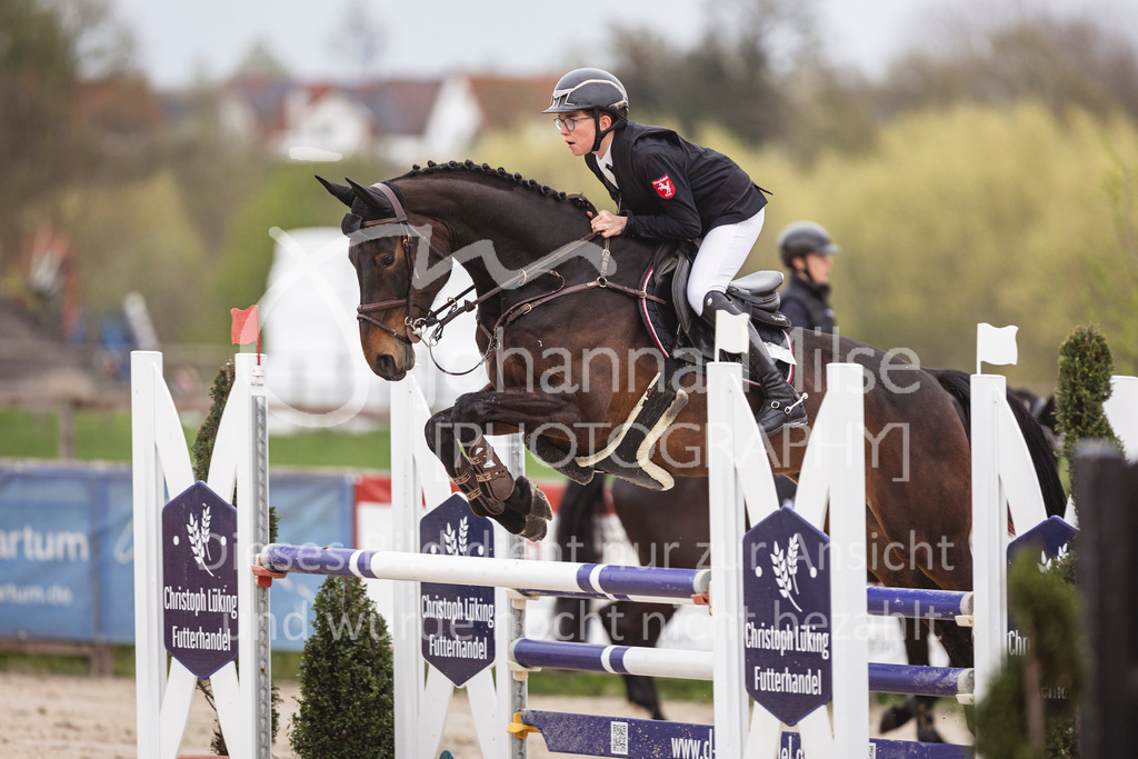 250417_Springpferde-L2-349 | Deine schönsten Turniermomente als professionelle Fotos! Entdecke hochwertige Pferdesport-Fotografie im Online-Shop. Jetzt Fotos finden & bestellen!