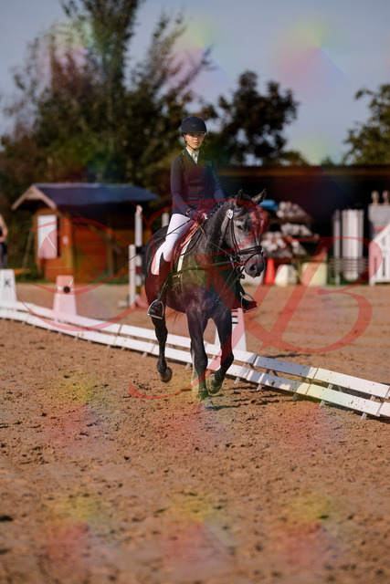 2026_10_03_Siefer-Hof_120026_Z81_02092350 | Professionelle Reitsport-, Turnier- und Eventfotografie von Robert Broda. Galerien mit ausgewählten und bearbeiteten Bildern direkt online ansehen und bestellen.
