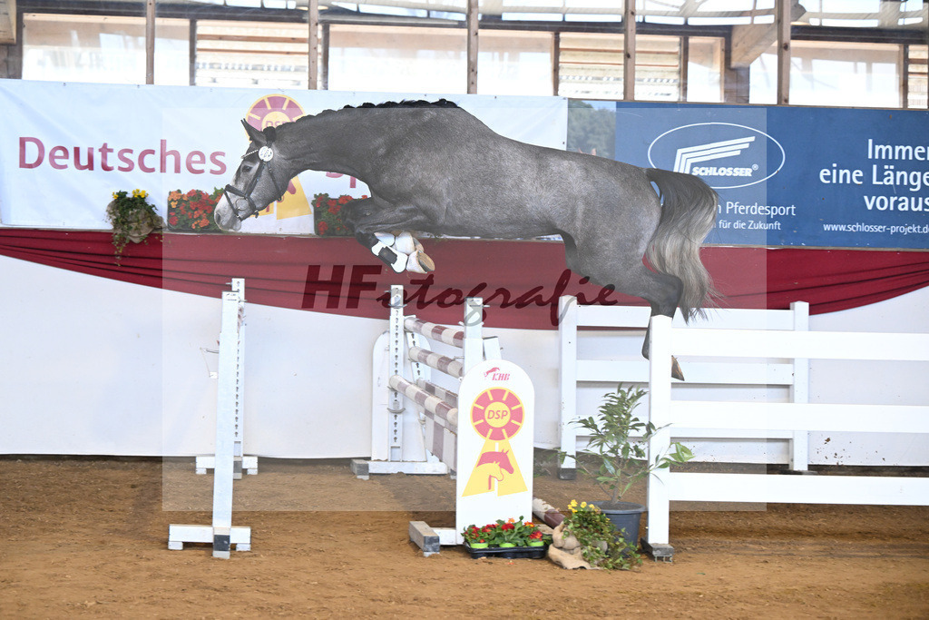 Kat-Nr. 9 Diablues Diavola v. Diablue PS_Becker_16250880 | hf-fotografie - Realizzato con Pictrs.com