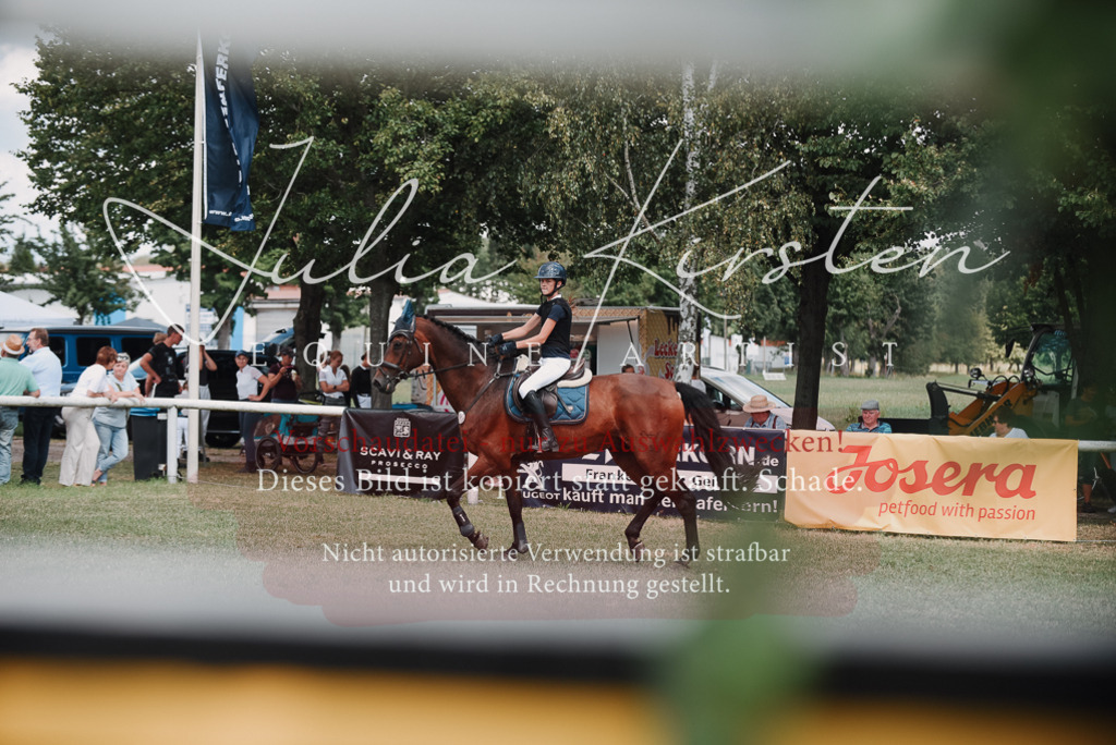 DSC_5687 | Pferde- und Turnierfotografie in Westsachsen. Pferdeportraits, Auftragszeichnungen und intuitive Kunst.