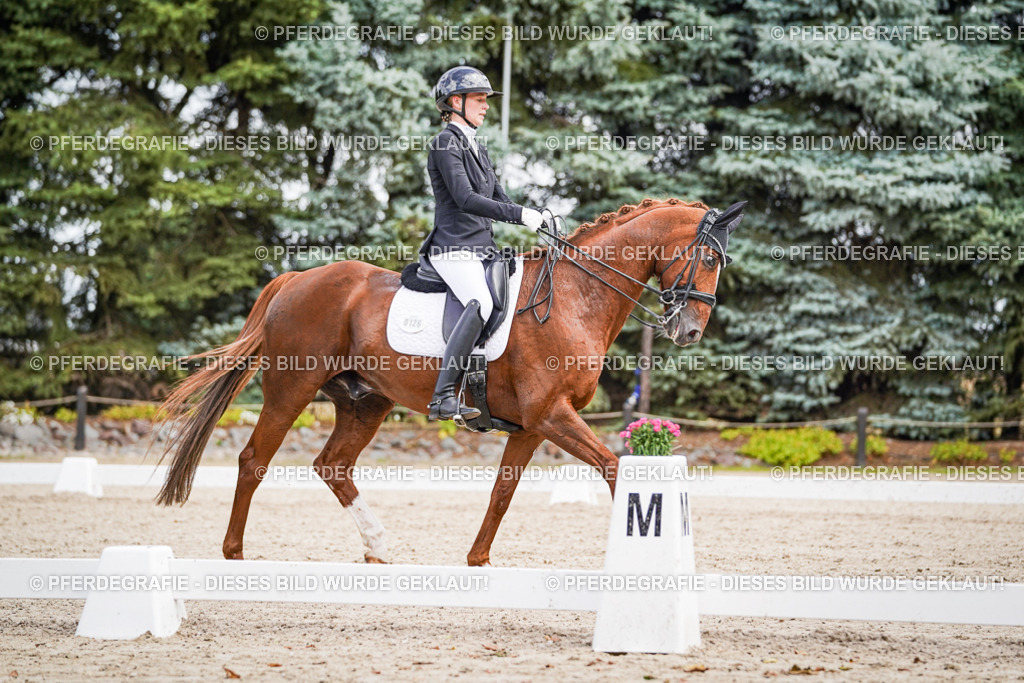 DSC04058 | Pferdegrafie