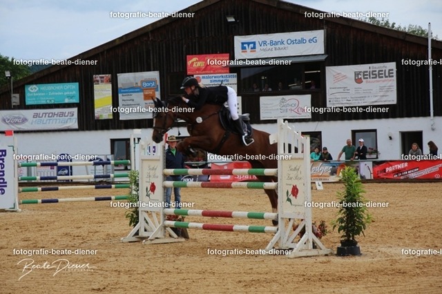 OHT0091 | Fotografie, Tiere, Hunde, Katzen, Pferde, Sportfotografie, Fotosession, Tierfotografie, Turnierfotografie, Fotografin, Fotograf - Realisiert mit Pictrs.com