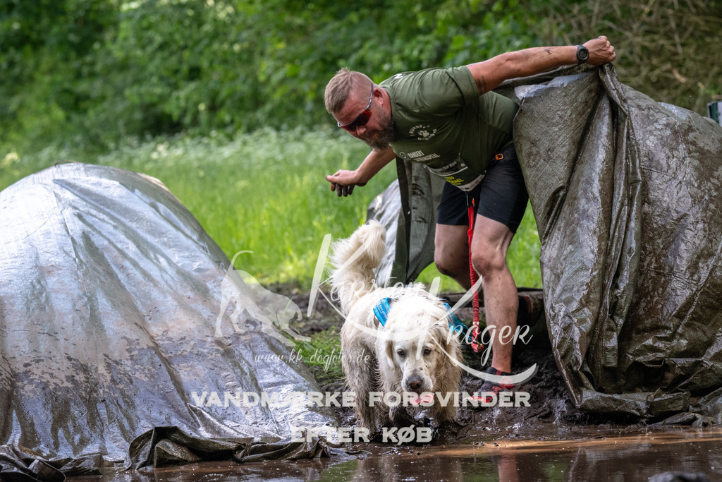 1312_ZZ90487 | kk-dogfotos