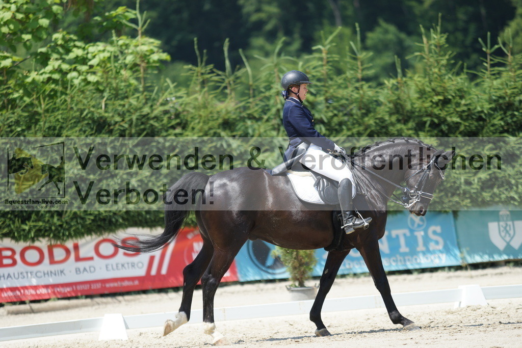 DSC05208 | equestrian-live-com
