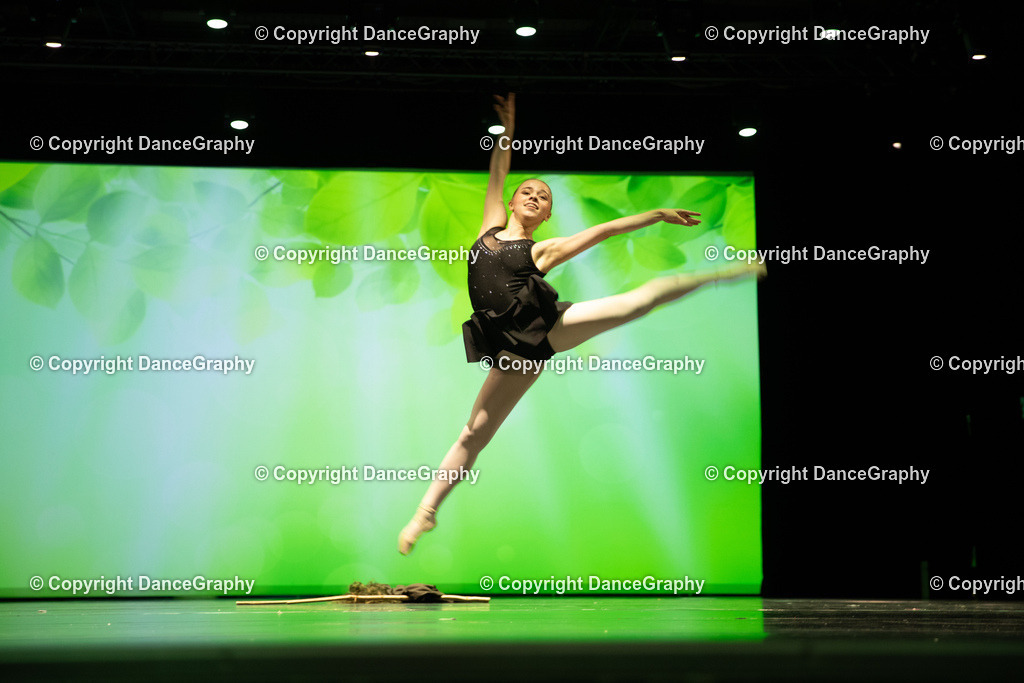 GPHY5766 | DanceGraphy - Realisiert mit Pictrs.com