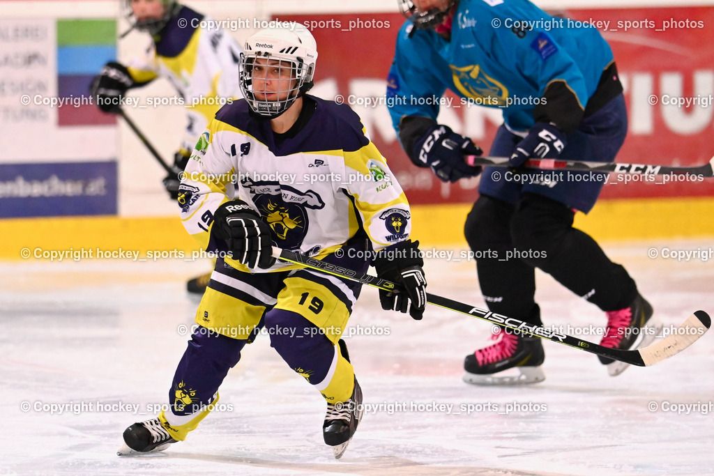 BST_6678 | hockey sports photos, Pressefotos, Sportfotos, hockey247, win 2day icehockeyleague, Handball Austria, Floorball Austria, ÖVV, Kärntner Eishockeyverband, KEHV, KFV, Kärntner Fussballverband, Österreichischer Volleyballverband, Alps Hockey League, ÖFB, 