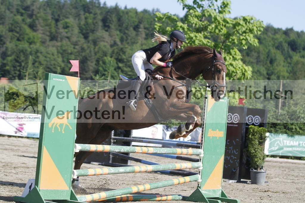 _MG_8268 | equestrian-live-com