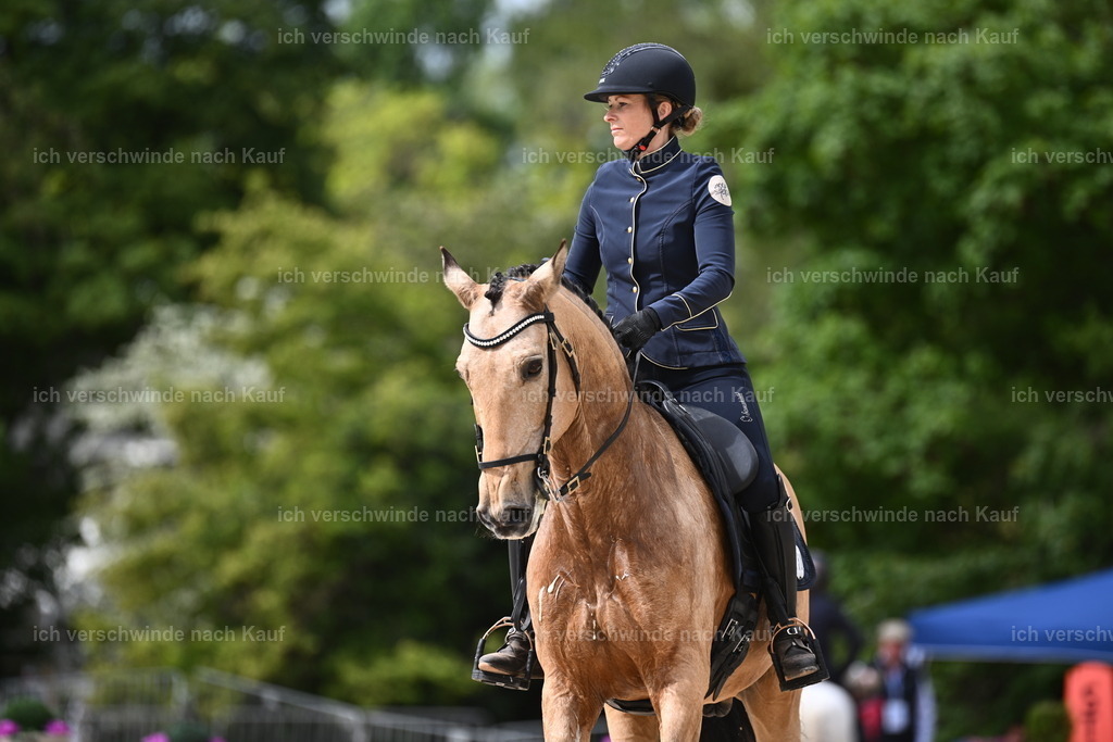 PI26_ST_Sara_Landvogt226_2504.JPG | working equitationturnier fotograf videograf stoibphotography marixx film working equitation deutschland reitsport turnierfotografie eventfotografie equestrian events