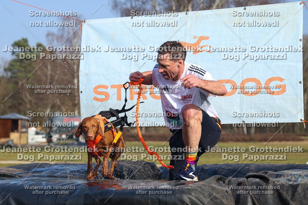 Dog Paparazzi - Strongdog North Mrz26-3418 | Dog Paparazzi Jeanette Grottendiek Fotografie & Videografie - Realisiert mit Pictrs.com