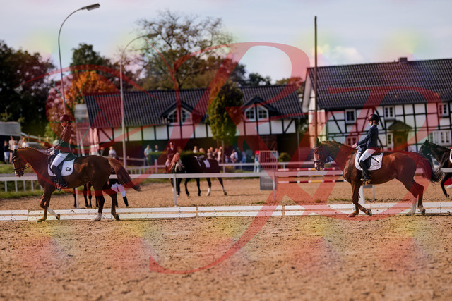 2026_10_03_Siefer-Hof_133146_Z81_86490790 | Professionelle Reitsport-, Turnier- und Eventfotografie von Robert Broda. Galerien mit ausgewählten und bearbeiteten Bildern direkt online ansehen und bestellen.