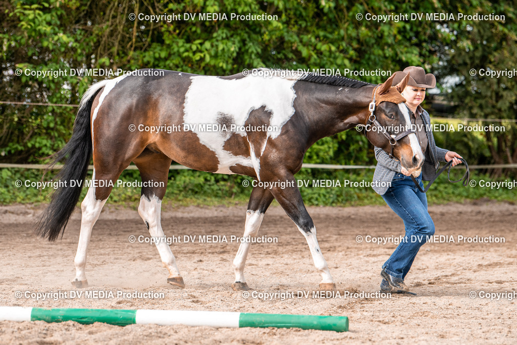 Balingen Tag 3-154 | dv-media-shop - Realisiert mit Pictrs.com