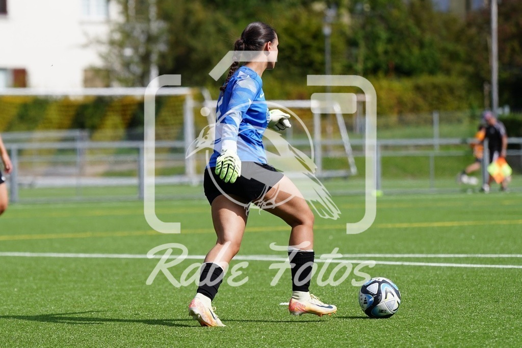 SON08859 | rabefotos