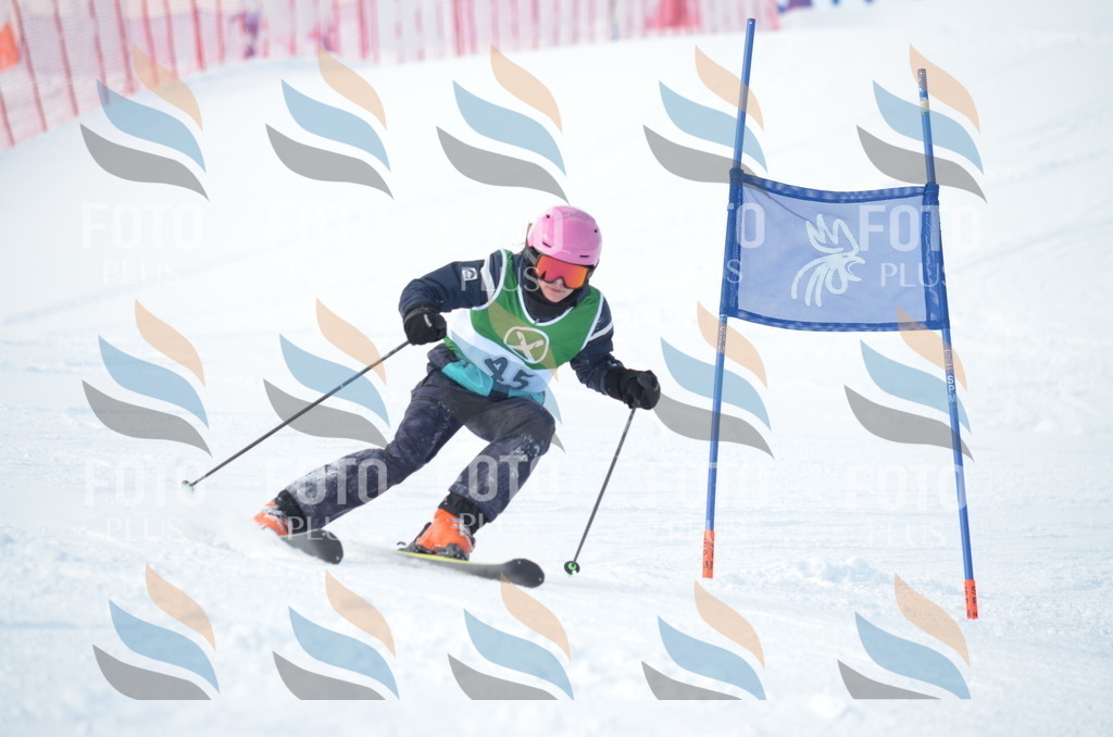 D8799 | holidayphoto