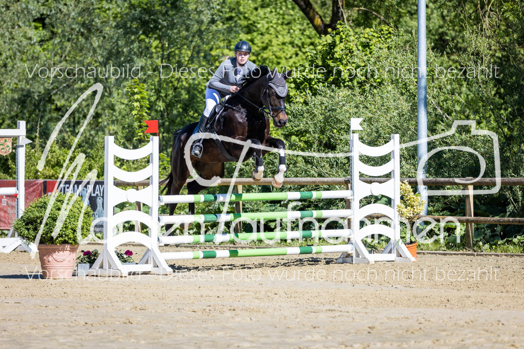 Donop24-A2Spr-042 | MomenTaufnahmen Pferdesportfotos