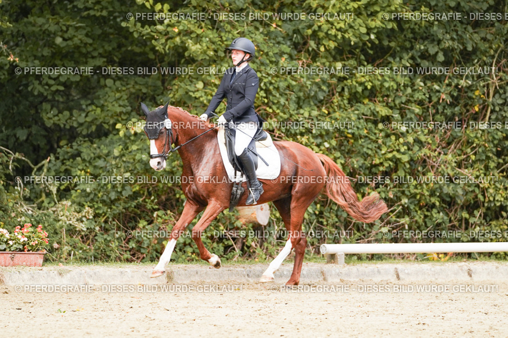 DSC03807 | Pferdegrafie