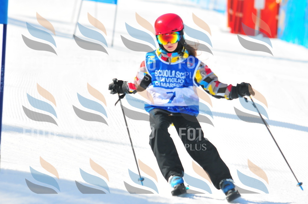 B8993 | holidayphoto