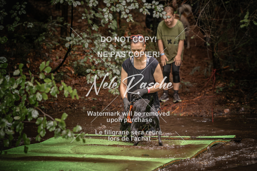 nelerasche_Wingst_Sa1330-1400_354 | nelerasche