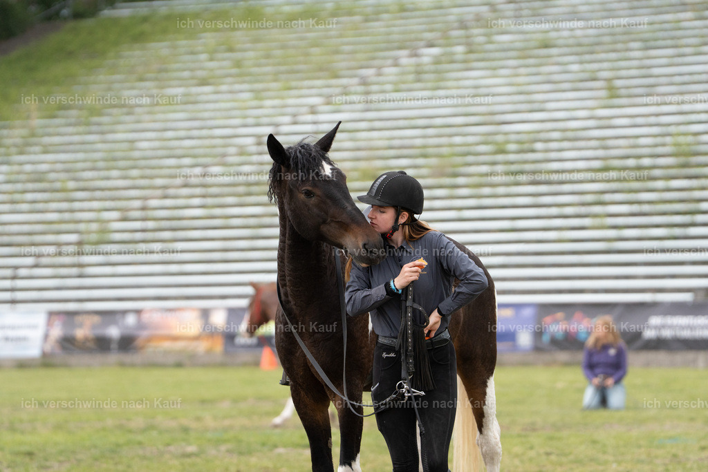 PI26_show_Jan_Picutures7C_06721.jpg | working equitationturnier fotograf videograf stoibphotography marixx film working equitation deutschland reitsport turnierfotografie eventfotografie equestrian events