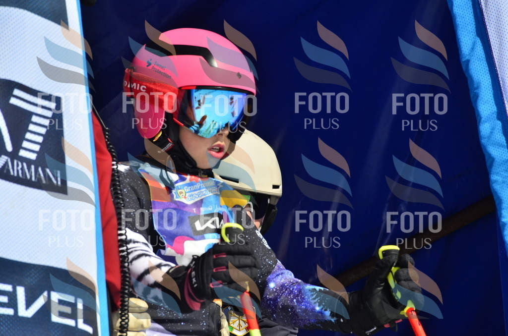 _ELE9952 | holidayphoto