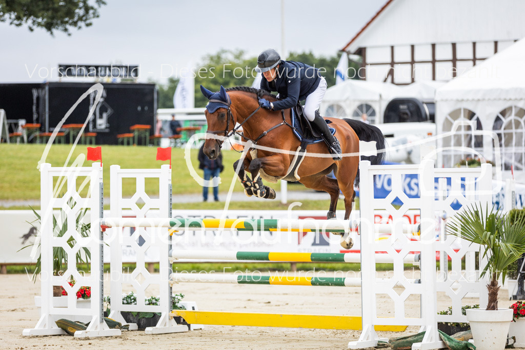 BHO-2PhSpr-M-5-2013 | MomenTaufnahmen Pferdesportfotos