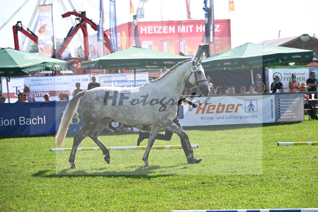 Kat-Nr. 30 Triest_Bray_34240404 | hf-fotografie - Realisiert mit Pictrs.com