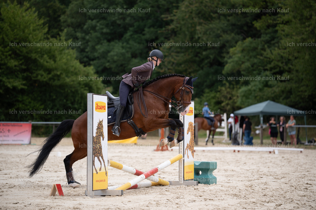 WL_ST_105_stoibphotography__SO11054 | working equitationturnier fotograf videograf stoibphotography marixx film working equitation deutschland reitsport turnierfotografie eventfotografie equestrian events