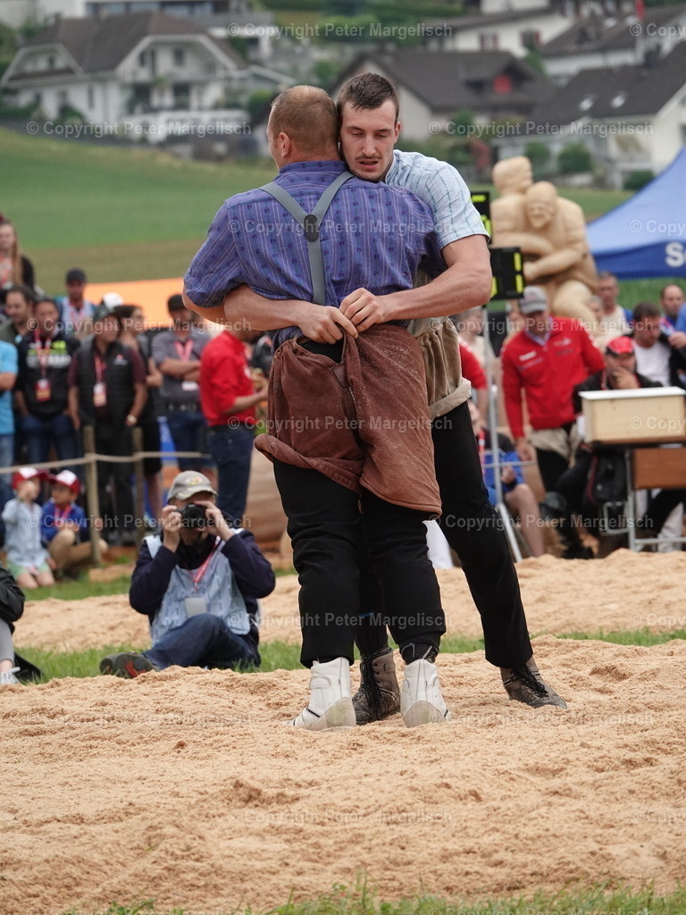 DSC04847 | Schwingen - Realisiert mit Pictrs.com