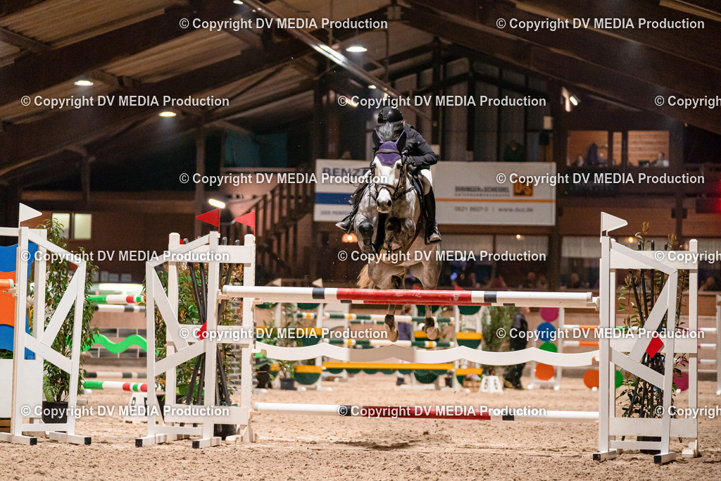 Springen Tag 2-884 | dv-media-shop - Realisiert mit Pictrs.com