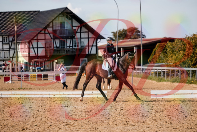 2026_10_03_Siefer-Hof_133527_Z63_95203744 | Professionelle Reitsport-, Turnier- und Eventfotografie von Robert Broda. Galerien mit ausgewählten und bearbeiteten Bildern direkt online ansehen und bestellen.