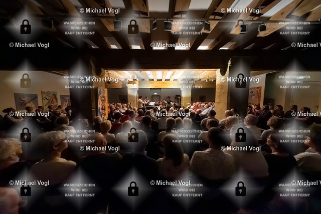 TAM25_K.03__Michael-Vogl_032_4495 | Tage Alter Musik Regensburg K.03 Städtische Galerie im Leeren Beutel The Tunelanders (Tuneland/Schweiz) Die Musikszene in den Dubliner Wirtshäusern und Musiksalons des 18. JahrhundertsEnglische, Schottische und Irische Volksmelodienin barocken Variationen Foto: Michael Vogl