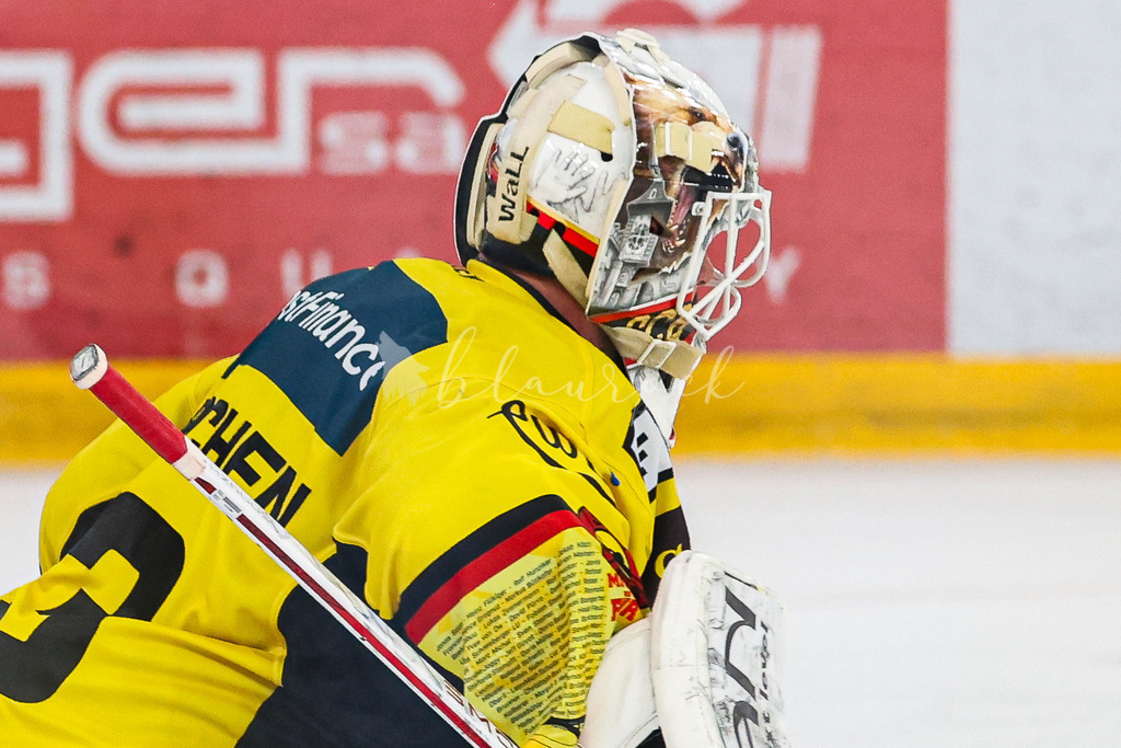 EHCB vs SCB 20260312_wb-4395 | Sportbilder, Sportfotograf, Hochzeits- und Eventfotografin, Flugshows, Portraits und Tiershooting, Aviation, Downhill, Nationalleague, Swissleague, International