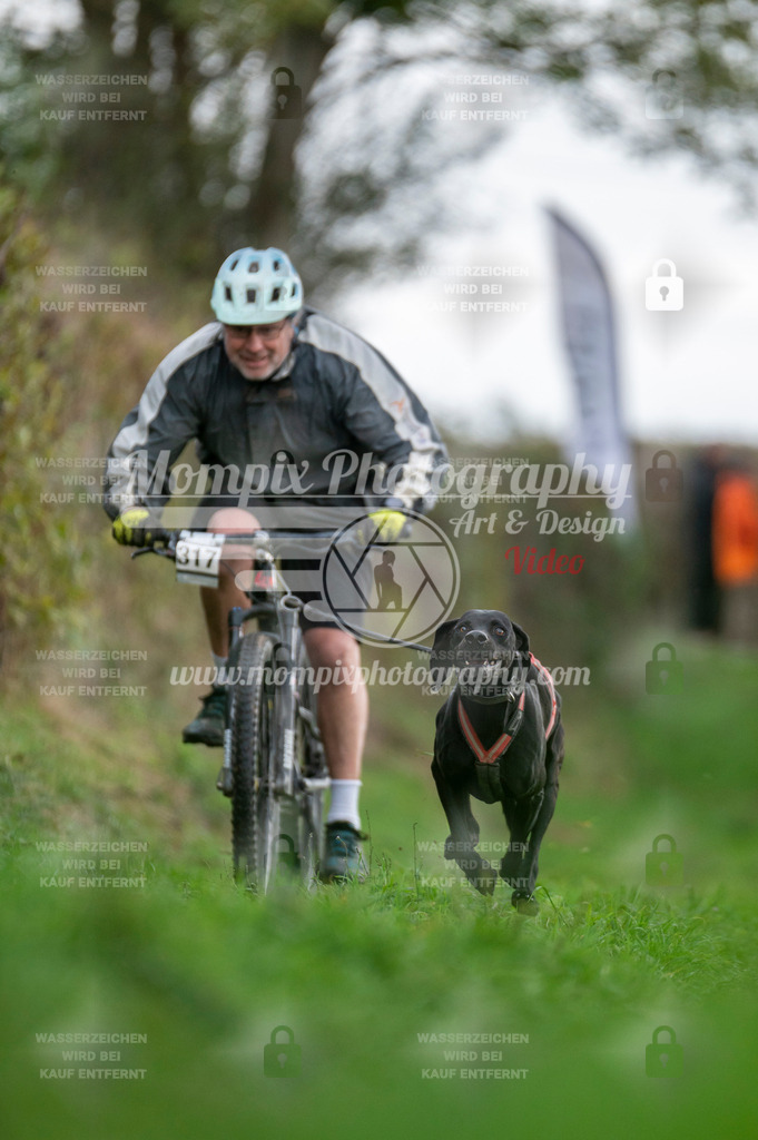 TSB_2023_E8_Bike-65 | PayLife