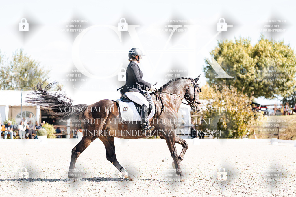 CK903572 | Turnierfotografie Pferdefotografie Trier Rheinland-Pfalz Pferdesport Reitsport Tierfotografie Sportfotografie Pferdevideo Pferdevideografie Equestrianvideography equestrianphotography  - Realisiert mit Pictrs.com