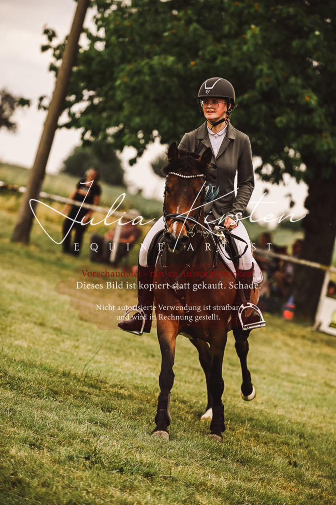 DSC_7011 | Pferde- und Turnierfotografie in Westsachsen. Pferdeportraits, Auftragszeichnungen und intuitive Kunst.