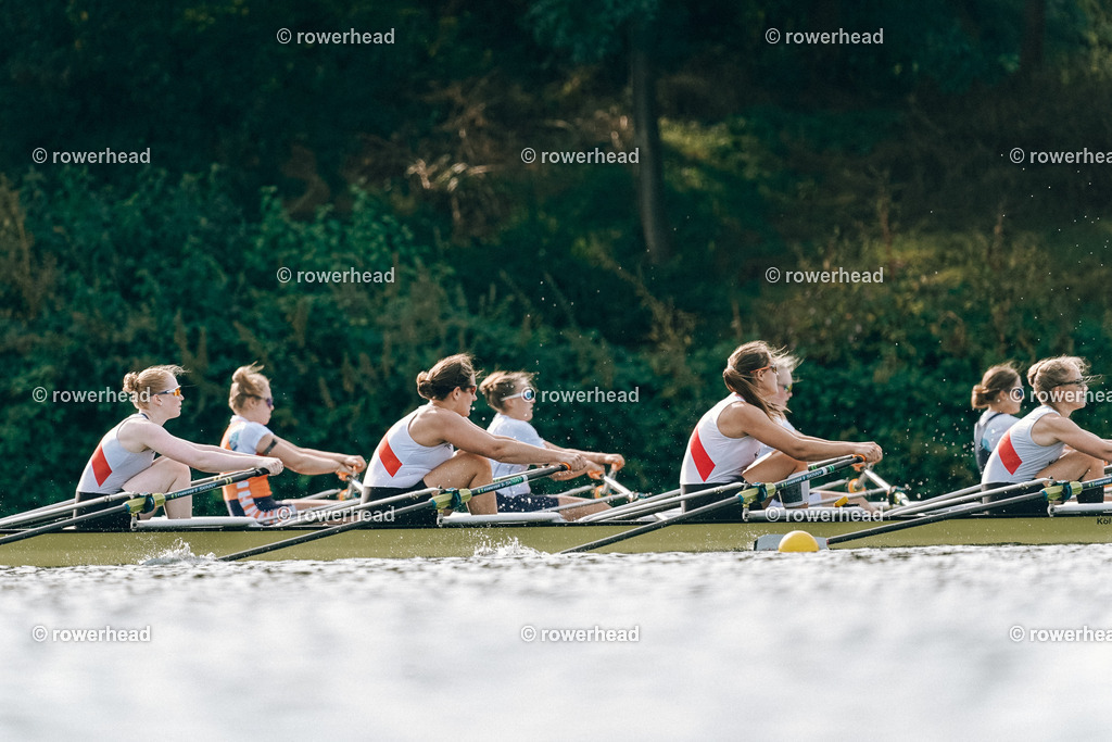 20240922_rowerhead_R161_S0069_DSC01965 | rowerhead - Realisiert mit Pictrs.com
