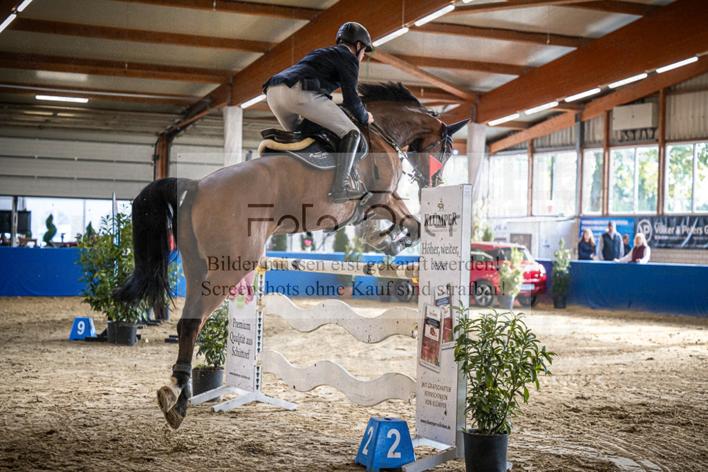 DOS_0340 | Entdecke hochwertige Reitturnierfotos von Foto Oger. Professionell, emotional und authentisch – jetzt Lieblingsmomente im Shop bestellen.Deutschlandweite Turnierfotografie. - Realisiert mit Pictrs.com