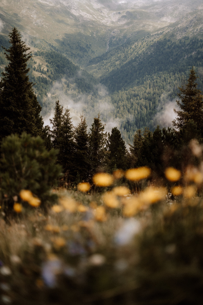 DSC07434 | Print Shop 
Fotografie
Posterdruck
Landschaftsfotografie
Reisefotografie
Naturfotografie
Anja Brandes Poster 
Anja Brandes Photography 
Prints for Walls 
Printable 
Posterdrucke
Poster aesthetic 
Poster Wall 
Poster Prints 
Poster schwarz weiß - Realisiert mit Pictrs.com