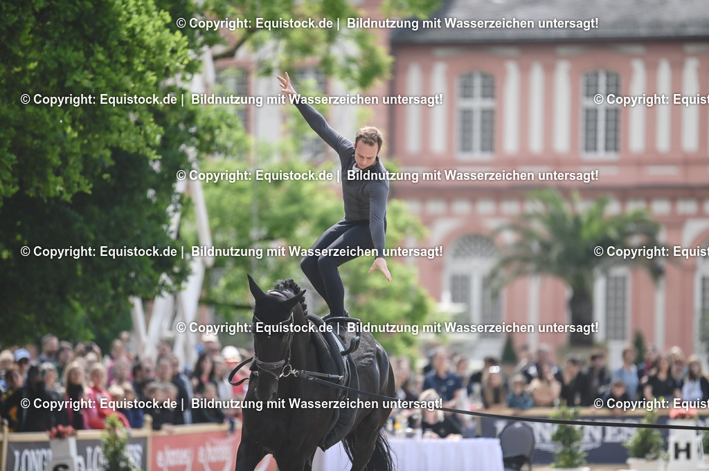 20240519_Voltige_0482 | Foto: Thomas Hartig