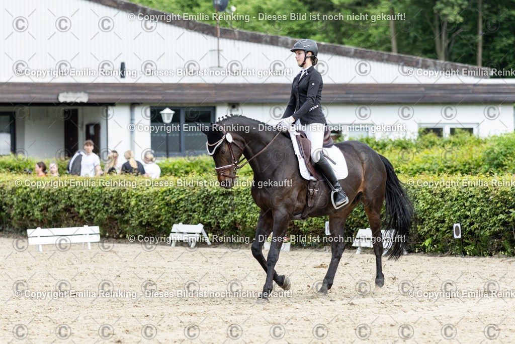 CL5A4650-2 | Emilia Reinking Fotografie - Realisiert mit Pictrs.com