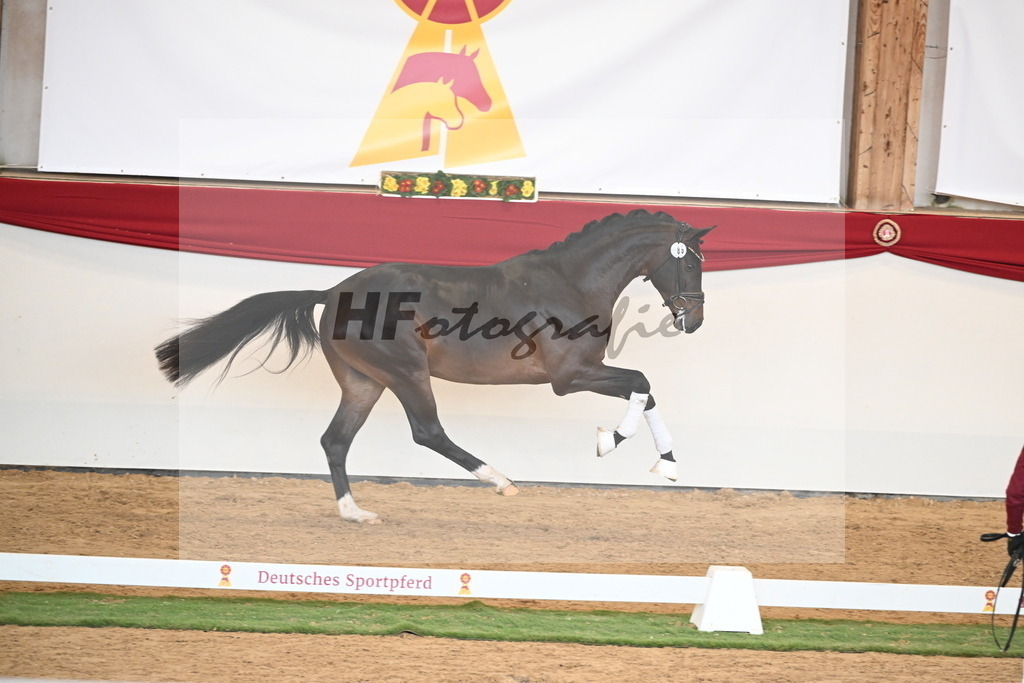 Kat.-Nr. 89 v. Vivaldon_Beckmann_2250847 | hf-fotografie - Realisiert mit Pictrs.com