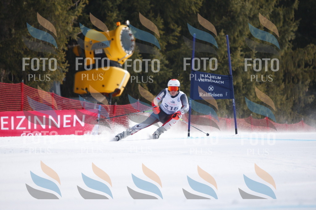 D8304 | holidayphoto