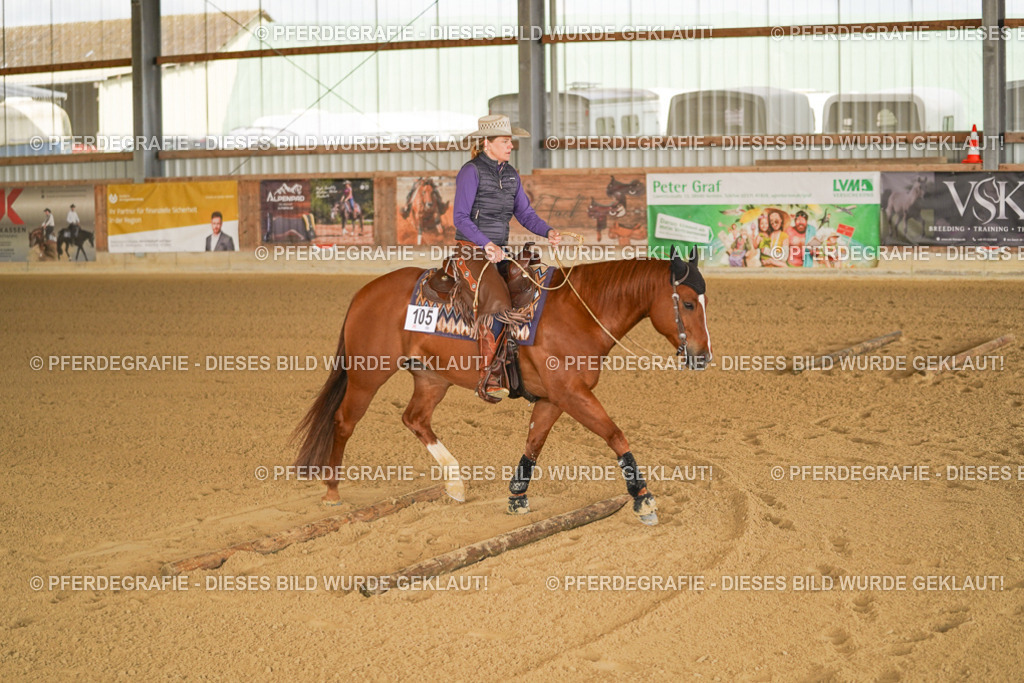 DSC01242 | Pferdegrafie