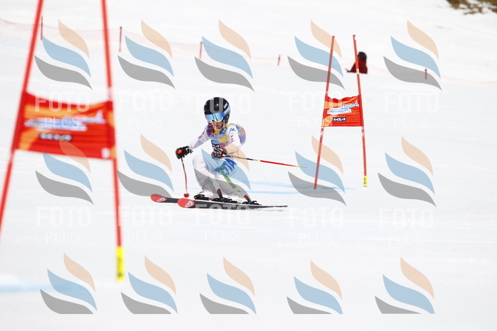 _U3G5717 | holidayphoto