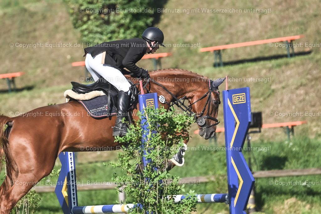 20230908_14-15_Springpferde-A_0073 | equistock
